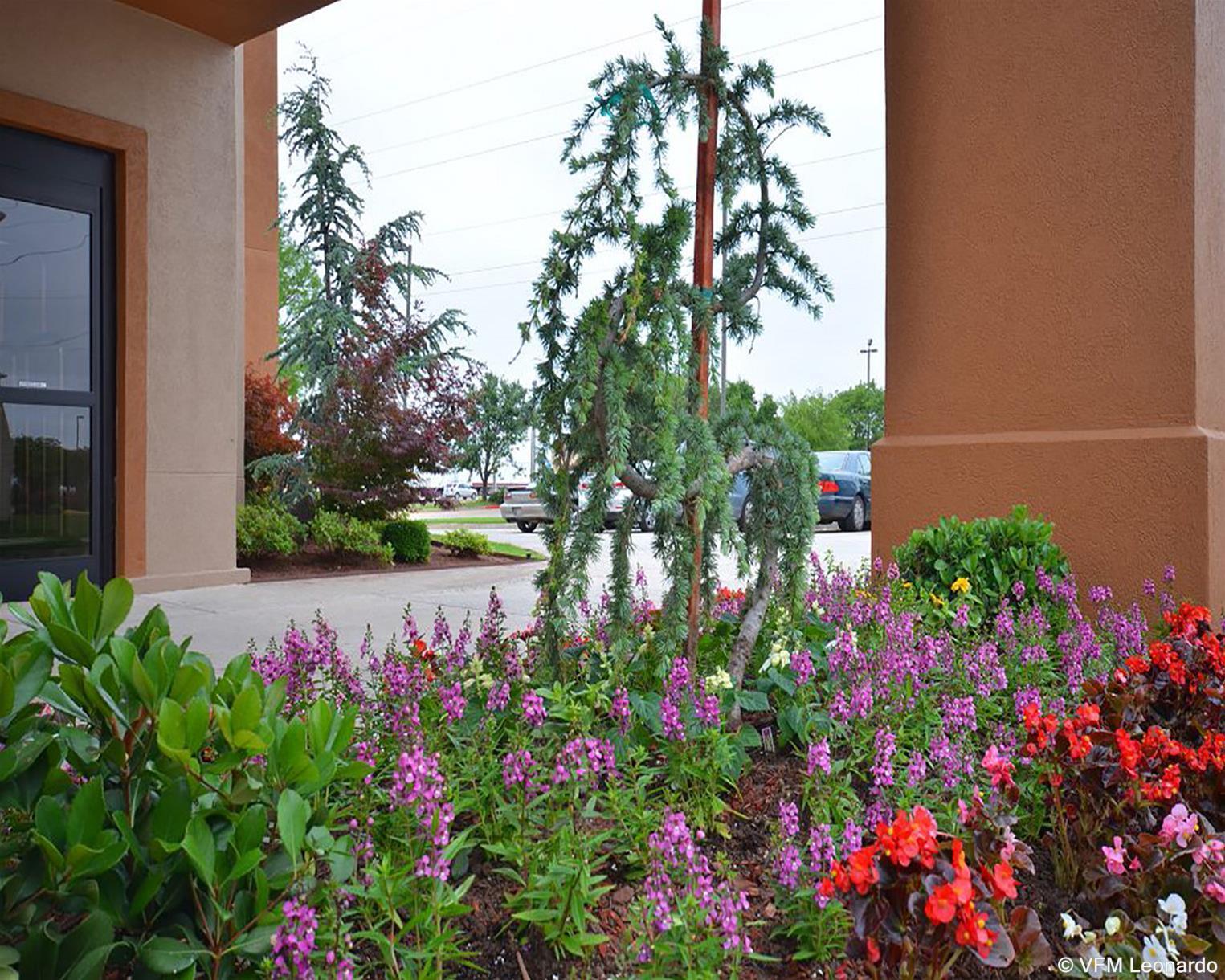 The Douillet By Demeure Hotels Oklahoma City Luaran gambar